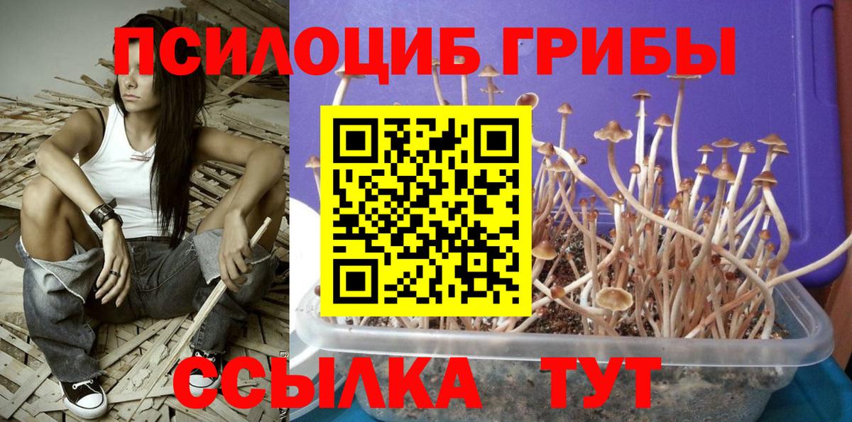 Казань  Псилоцибиновые грибы мухоморы  Вход с VPN 